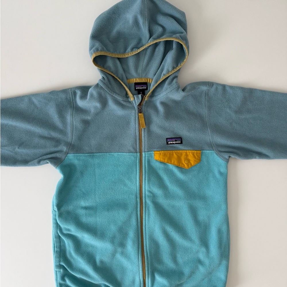 Patagonia Kids Micro D Snap-T Jacket